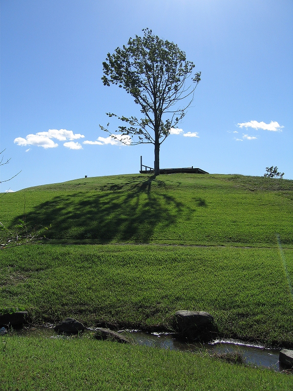 b0107769_17493655.jpg