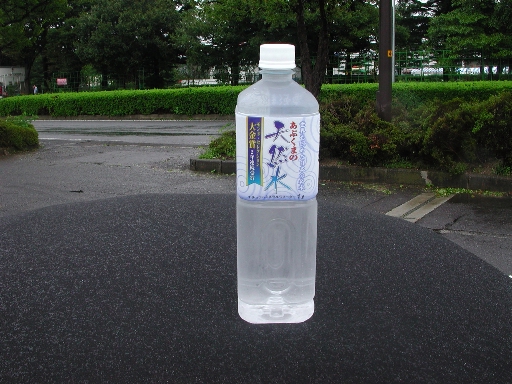 a0042970_2240541.jpg