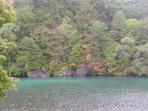 a0042970_2311396.jpg