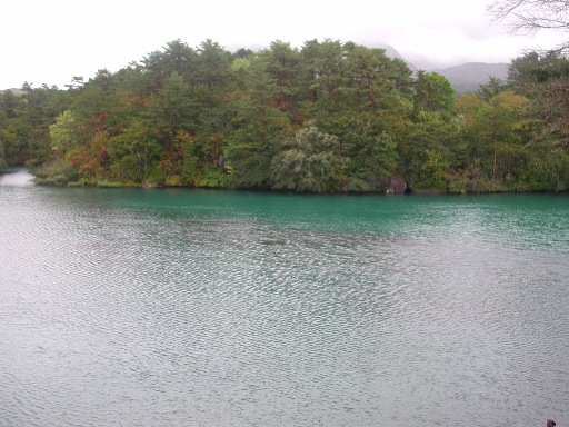 a0042970_2365267.jpg