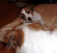 f0045872_1555341.jpg
