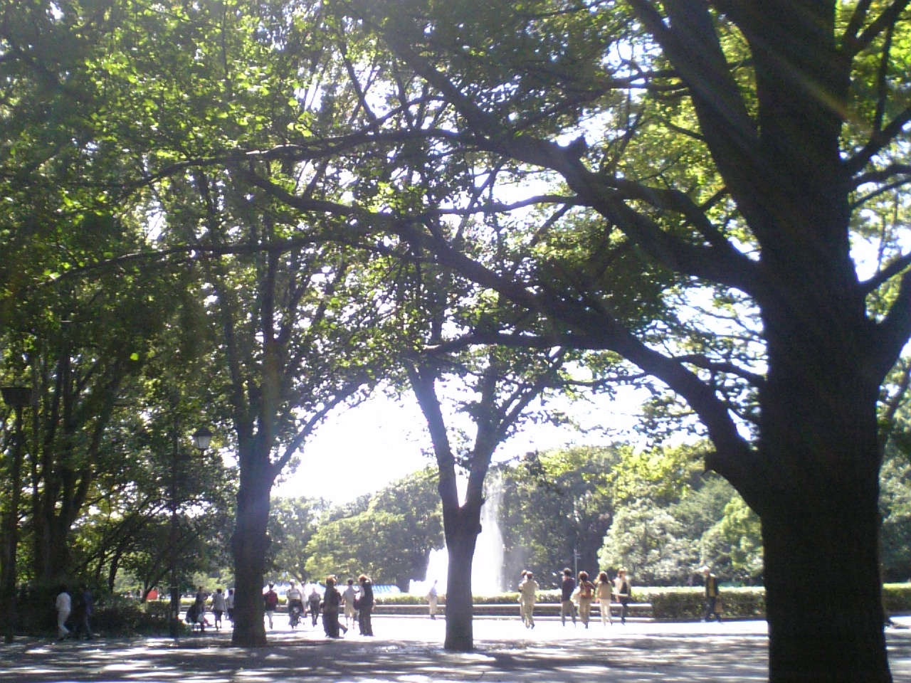 c0061774_22144632.jpg