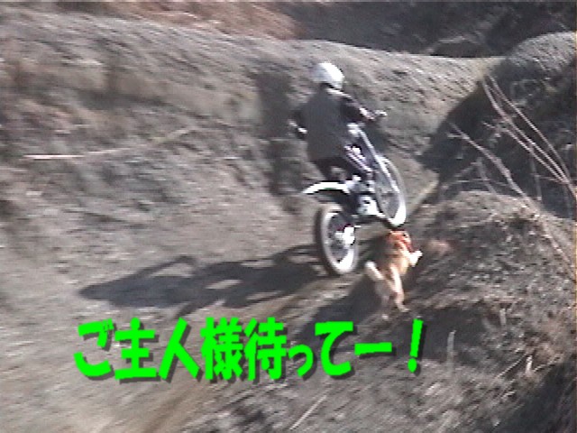 f0061283_19561354.jpg