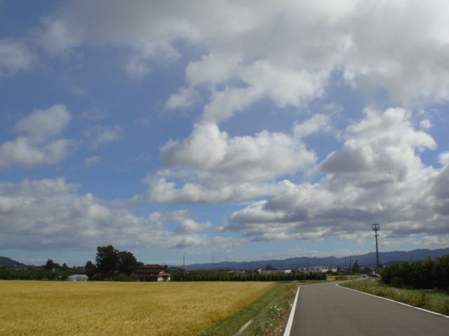 a0076187_21571029.jpg