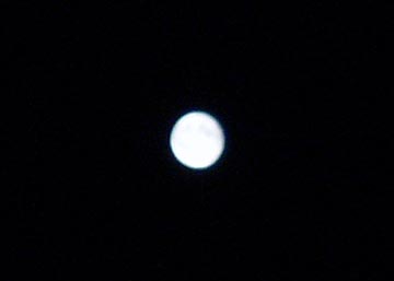f0024887_555940.jpg