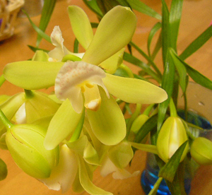 d0092990_20545854.jpg