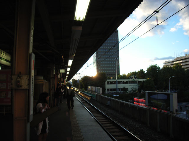 c0000391_06636.jpg