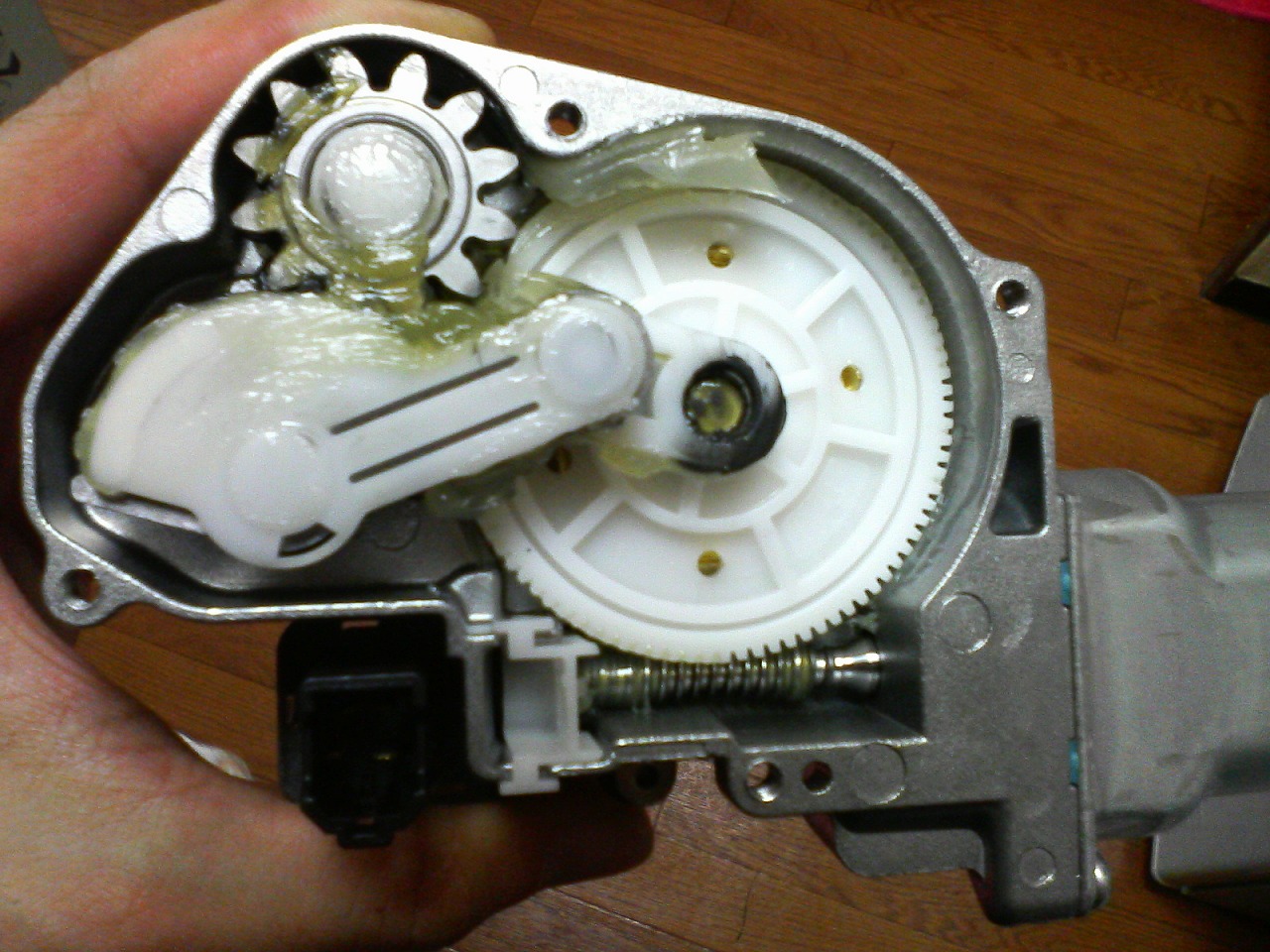 a0074195_229163.jpg