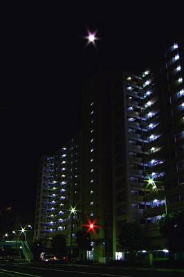 b0105199_128341.jpg