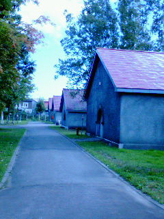 c0009505_21581827.jpg