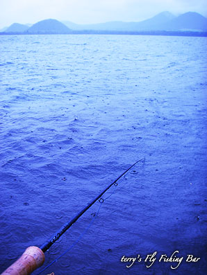 e0009009_19245566.jpg