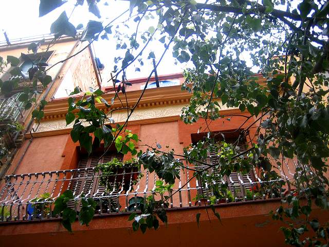 b0064411_21224056.jpg