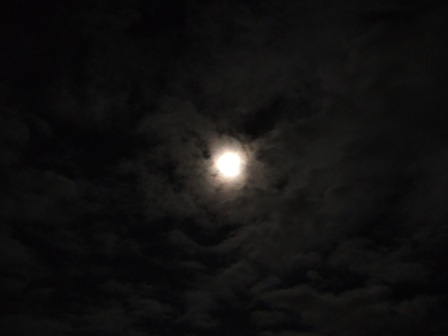 b0007213_2111076.jpg