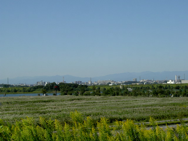 a0077616_1518955.jpg