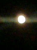 a0055817_7545953.jpg