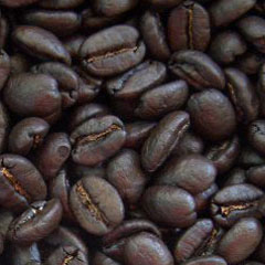 c0036617_23173665.jpg