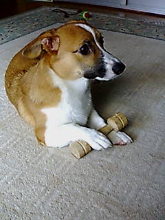 e0026017_21113714.jpg