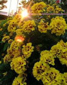 f0033921_06267.jpg