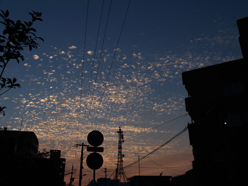 b0031522_2255358.jpg