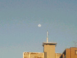 d0002224_901598.jpg