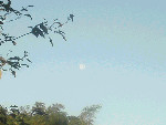 d0002224_903046.jpg