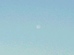 d0002224_904074.jpg