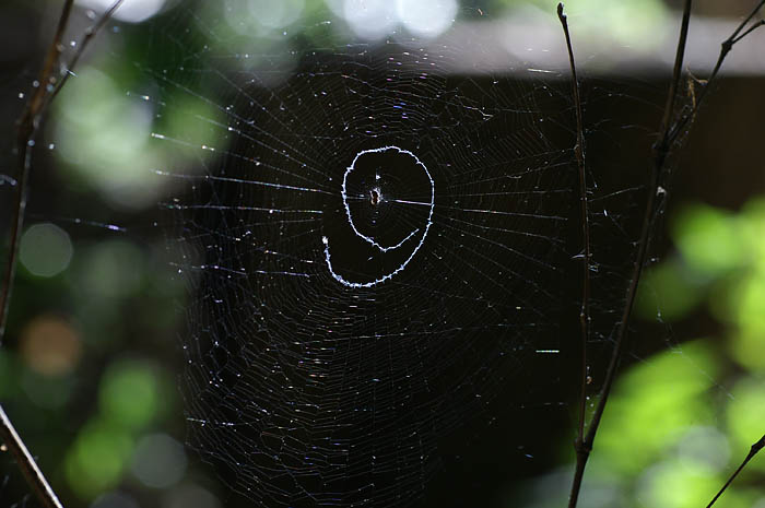 d0089024_2015425.jpg