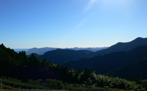 f0060424_10193295.jpg