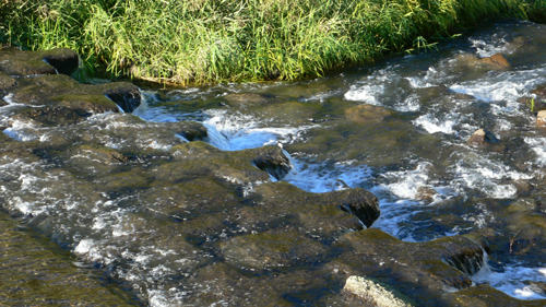 f0060424_10243977.jpg