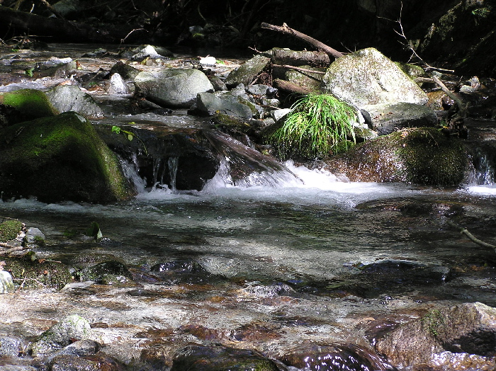 f0103126_19273220.jpg