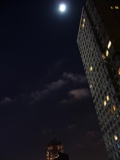 e0036628_1038896.jpg