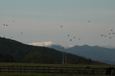 e0064128_2334345.jpg