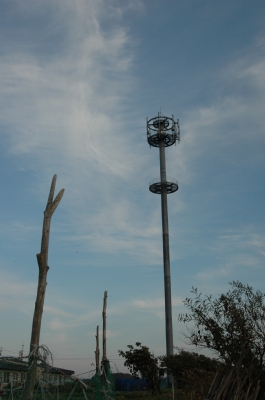 e0064128_23363980.jpg