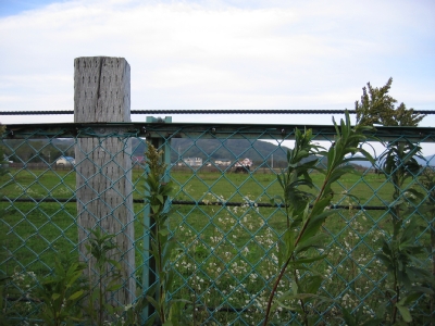 e0064128_23422064.jpg