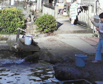 f0107528_10553948.jpg