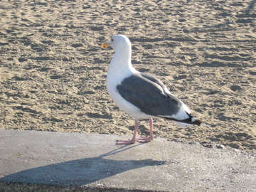 f0045433_2117764.jpg