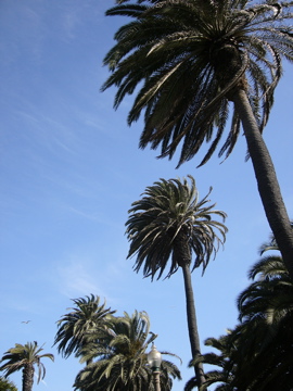 f0045433_215543.jpg