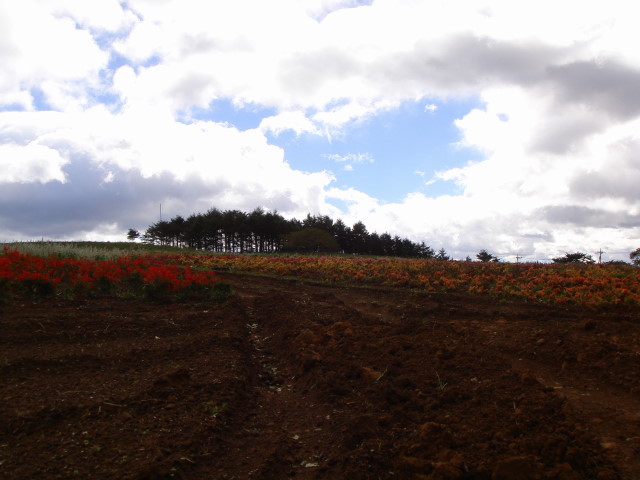 f0072533_21212583.jpg
