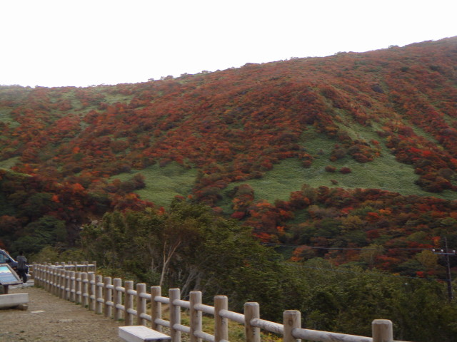f0072533_21214454.jpg