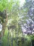 f0029534_13284823.jpg