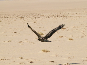 b0038735_15213527.jpg