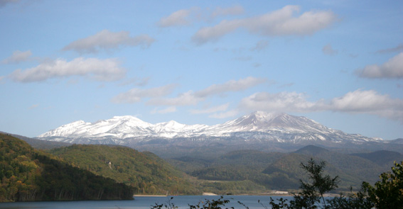 d0069235_21384398.jpg