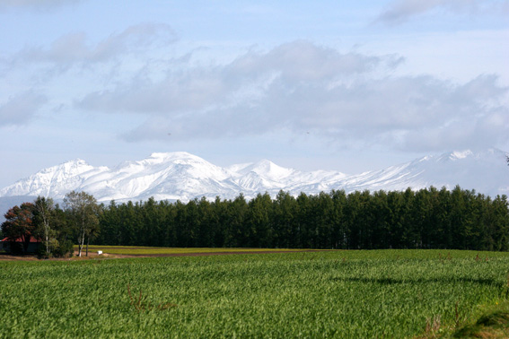 d0069235_21421937.jpg