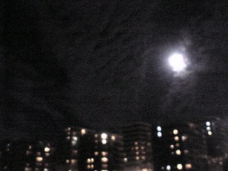 c0064237_211196.jpg