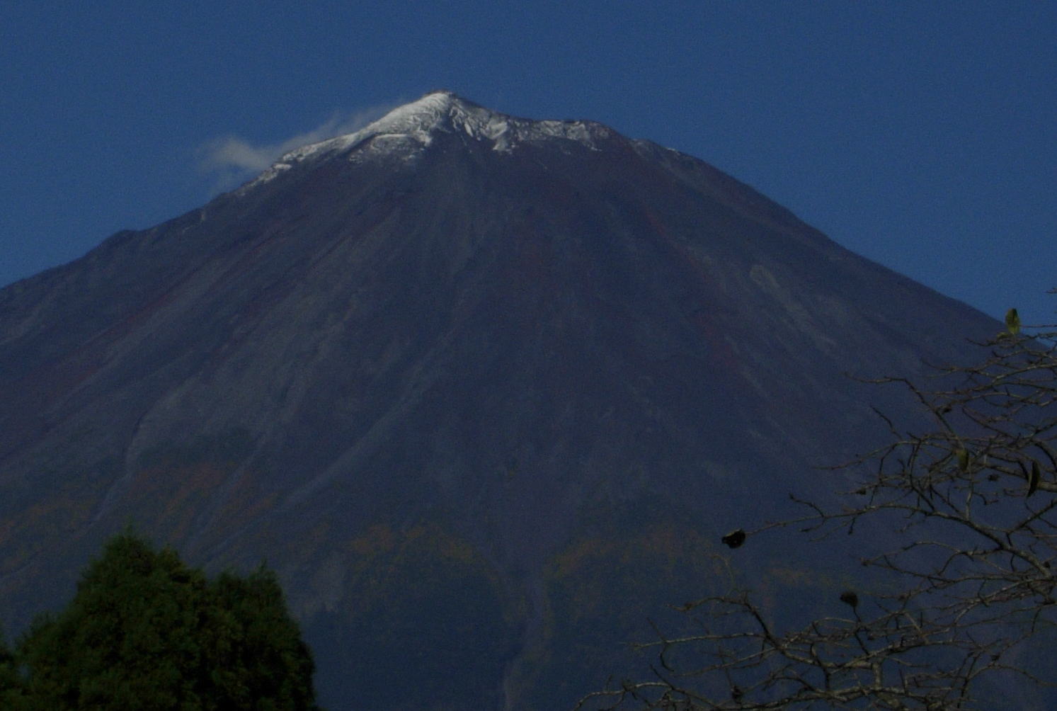 b0089338_1873338.jpg