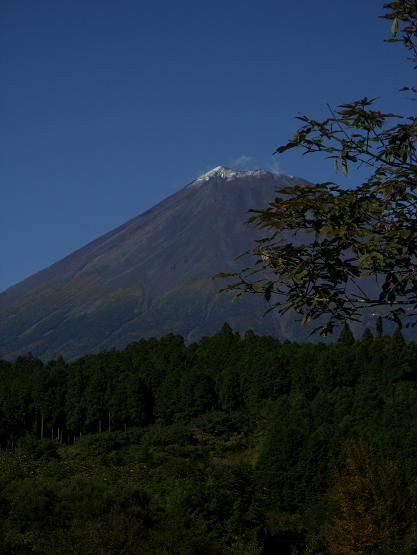 b0089338_1875393.jpg