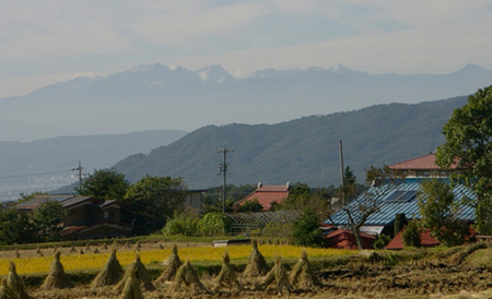 c0087047_2053375.jpg