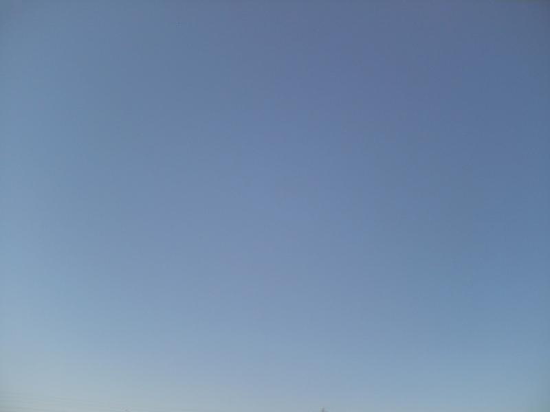 a0055650_1055119.jpg
