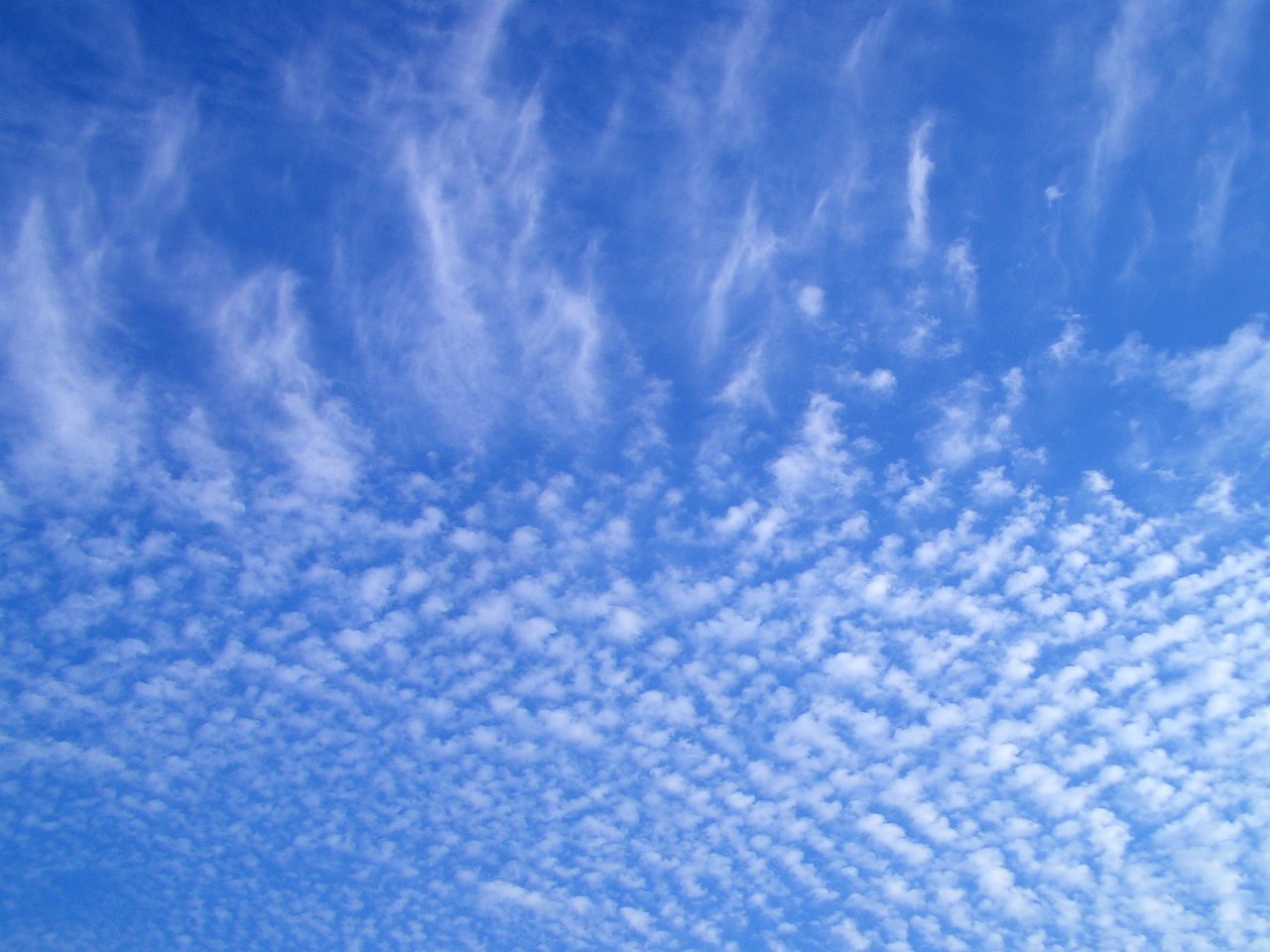 e0002850_201226.jpg