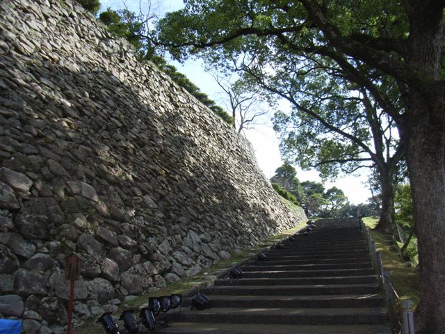 f0025351_12481558.jpg